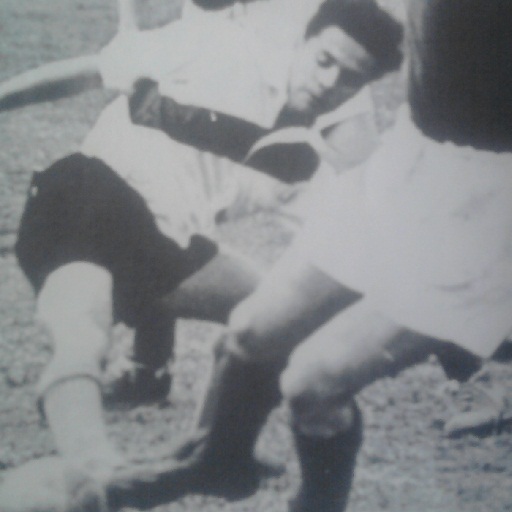 Aristóbulo Deambrossi