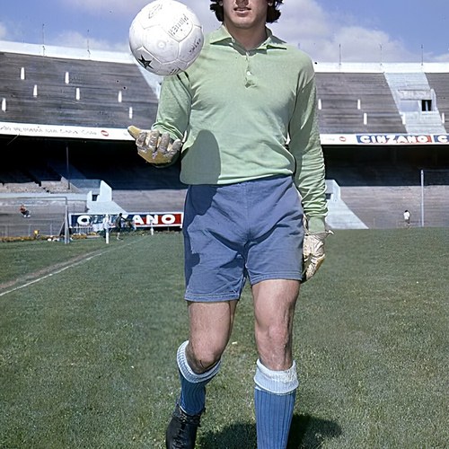 Ubaldo Fillol